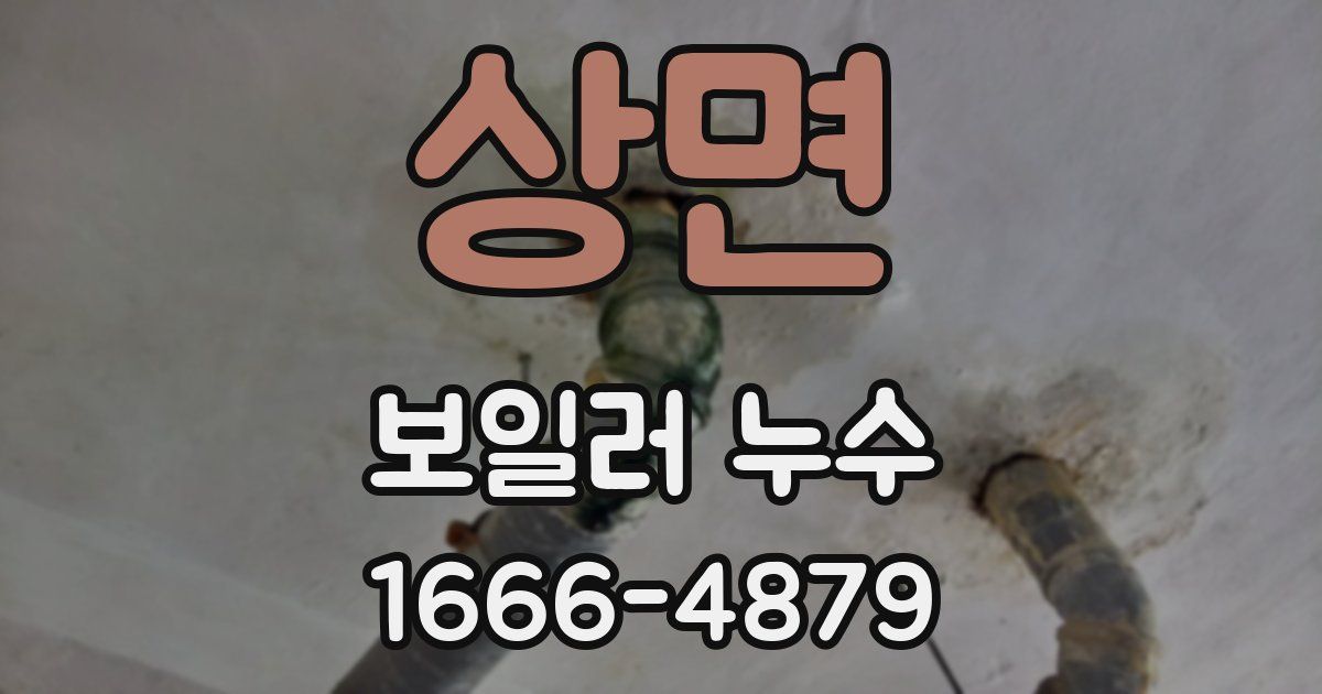 상면 보일러 누수