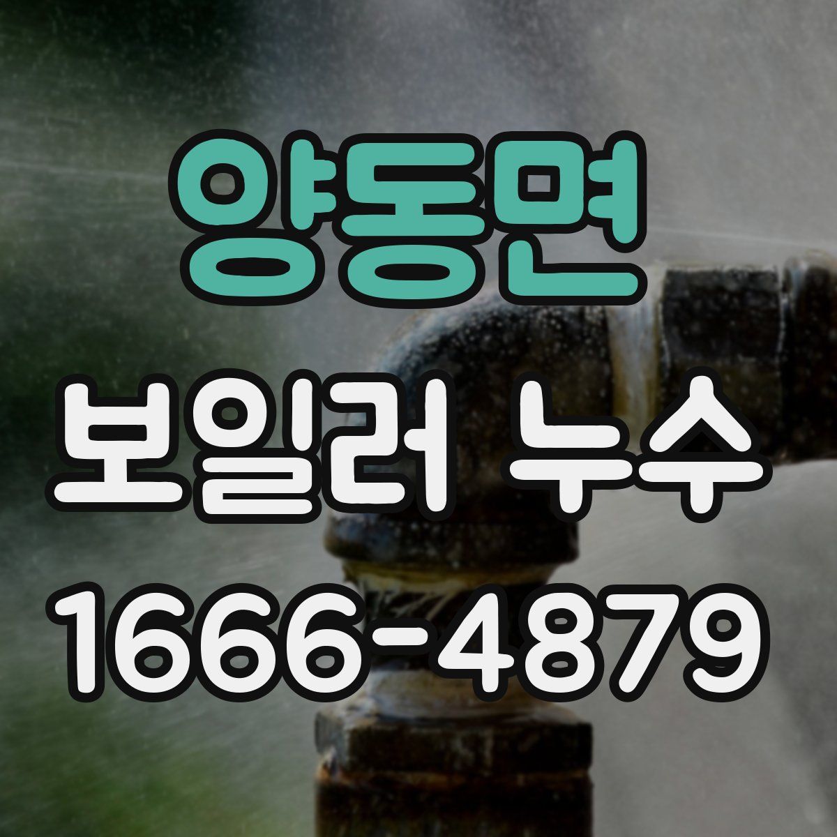 양동면 보일러 누수