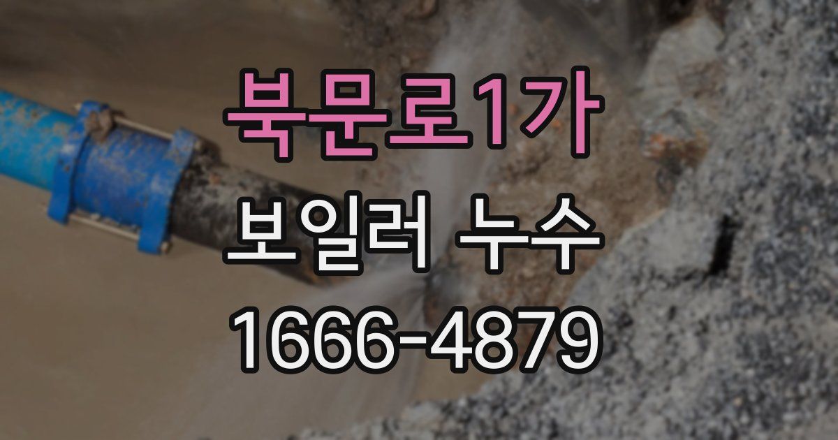 북문로1가 보일러 누수