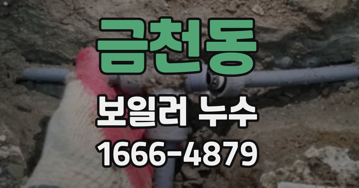금천동 보일러 누수