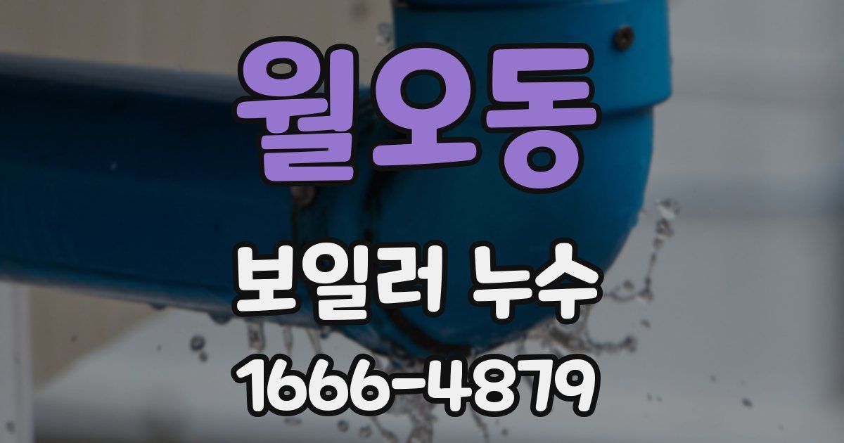 월오동 보일러 누수