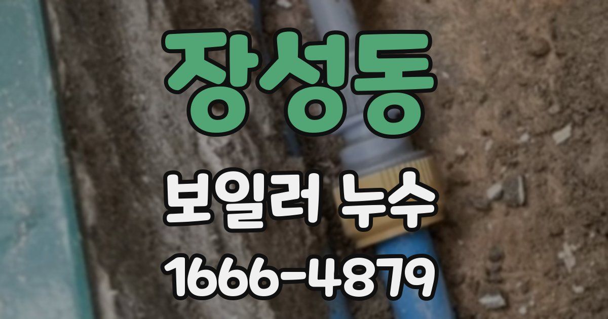장성동 보일러 누수