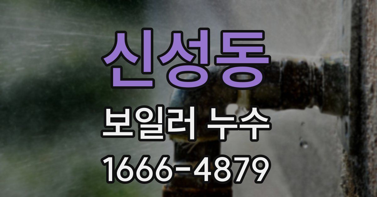 신성동 보일러 누수