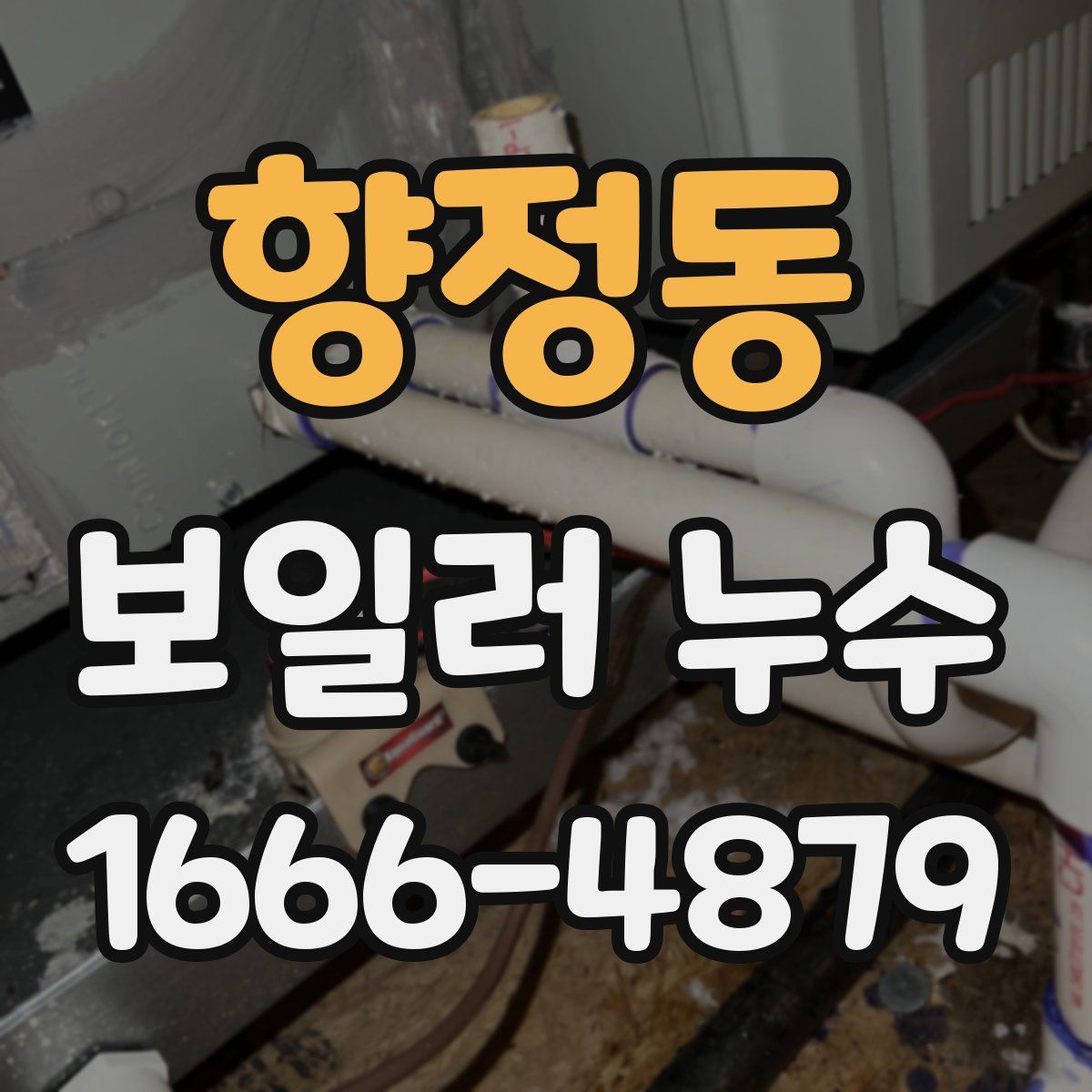 향정동 보일러 누수