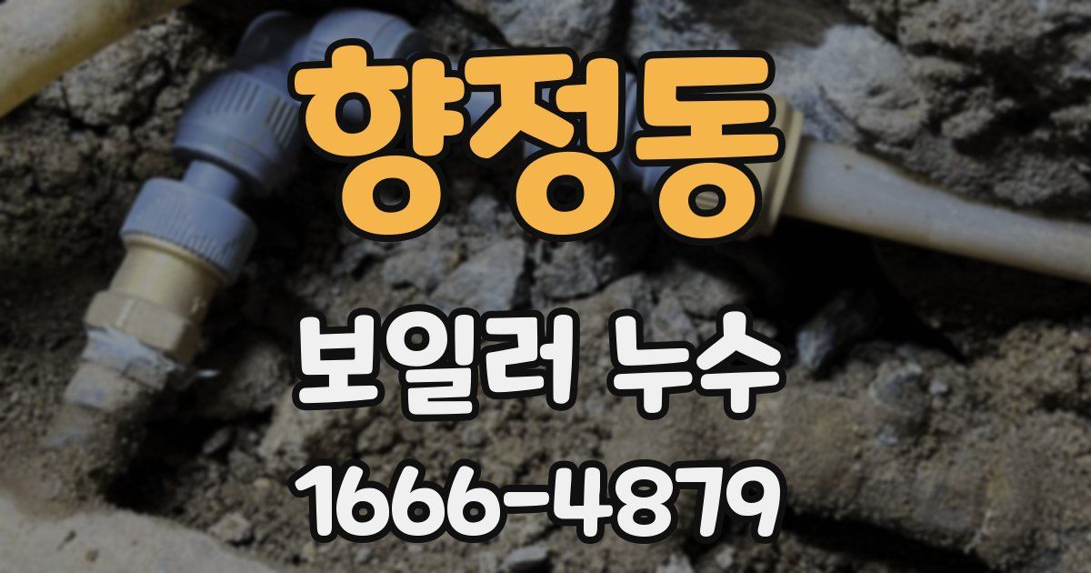 향정동 보일러 누수