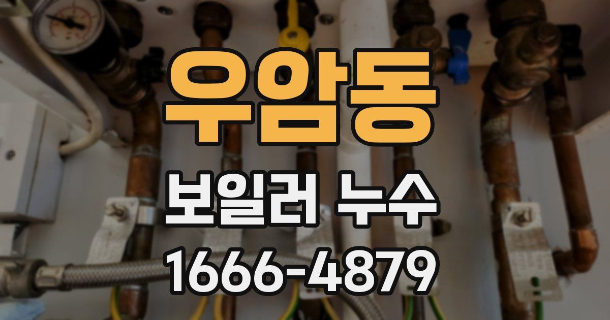 우암동 보일러 누수