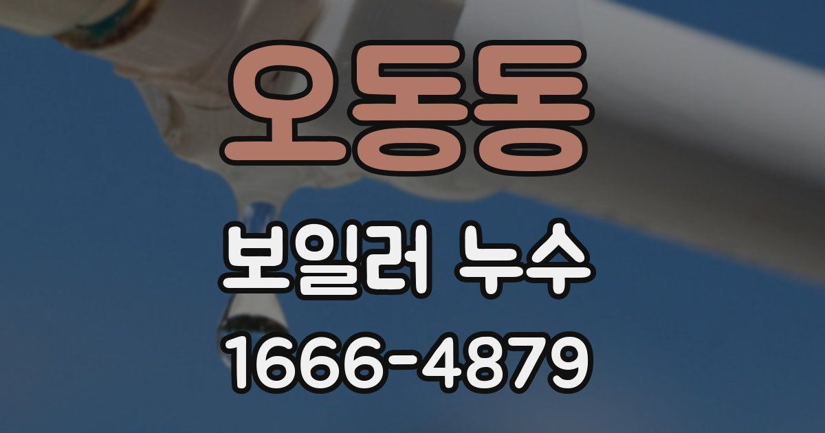 오동동 보일러 누수
