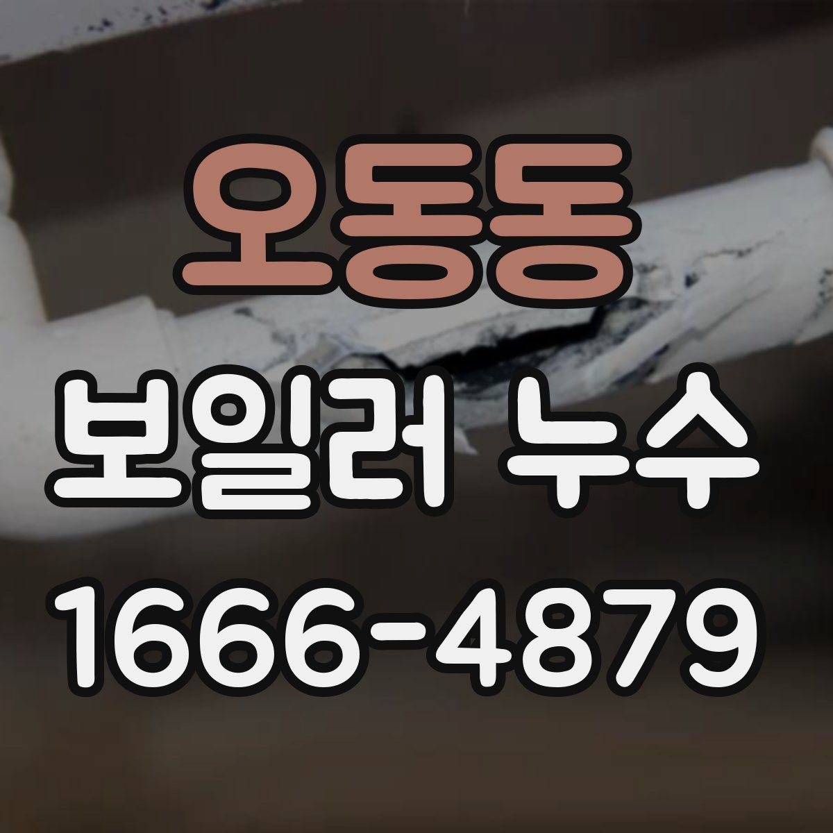 오동동 보일러 누수