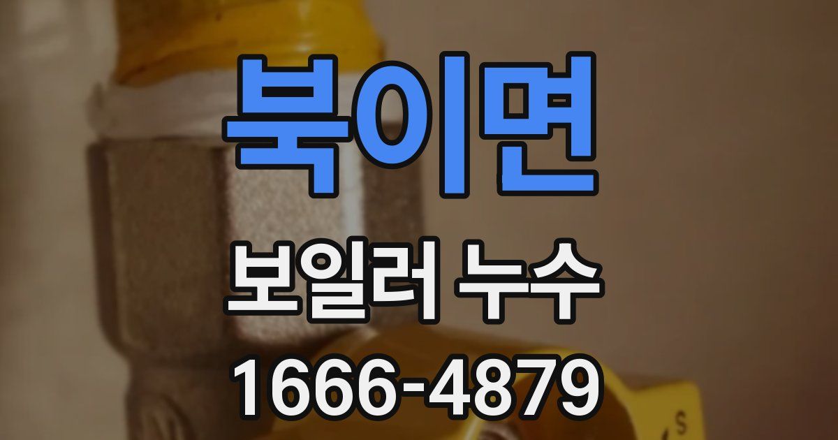 북이면 보일러 누수