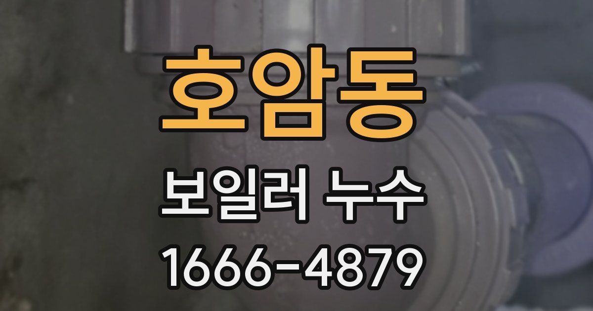 호암동 보일러 누수