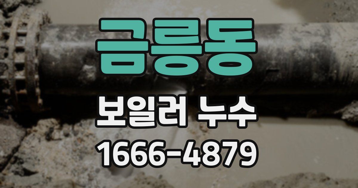 금릉동 보일러 누수
