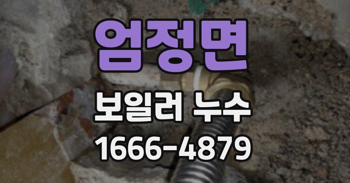 엄정면 보일러 누수