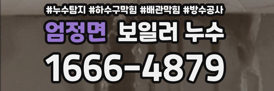 엄정면 보일러 누수