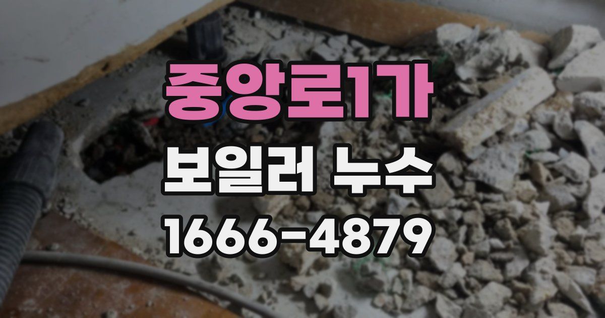중앙로1가 보일러 누수