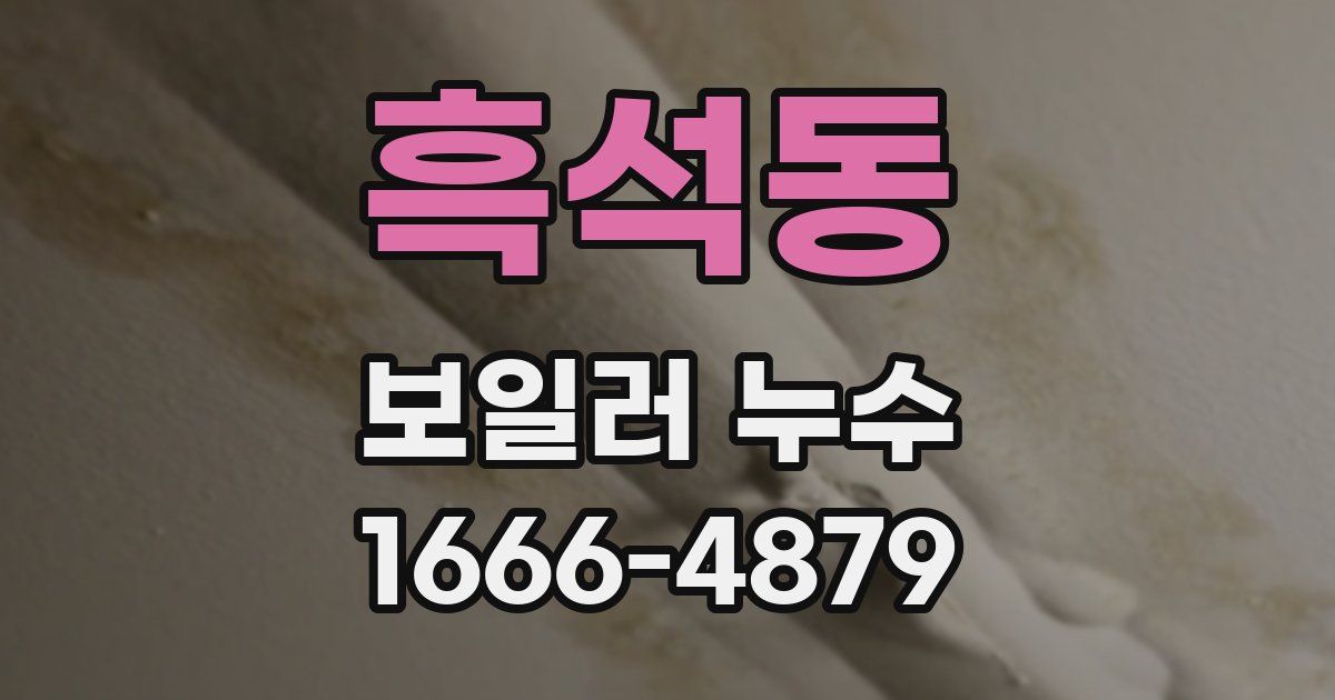 흑석동 보일러 누수