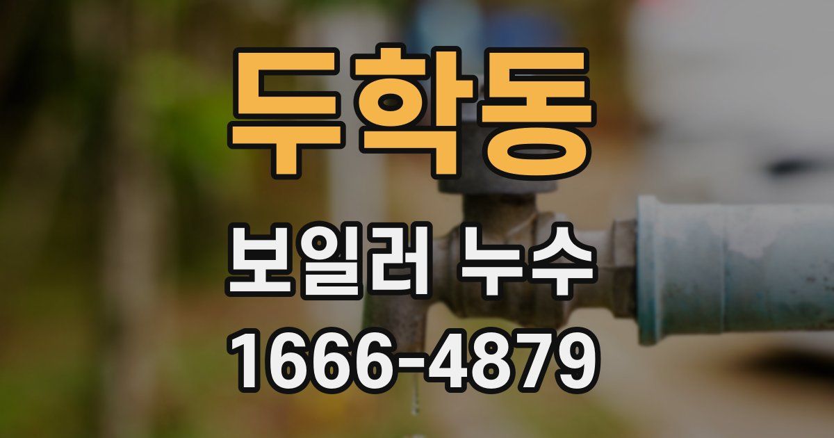 두학동 보일러 누수