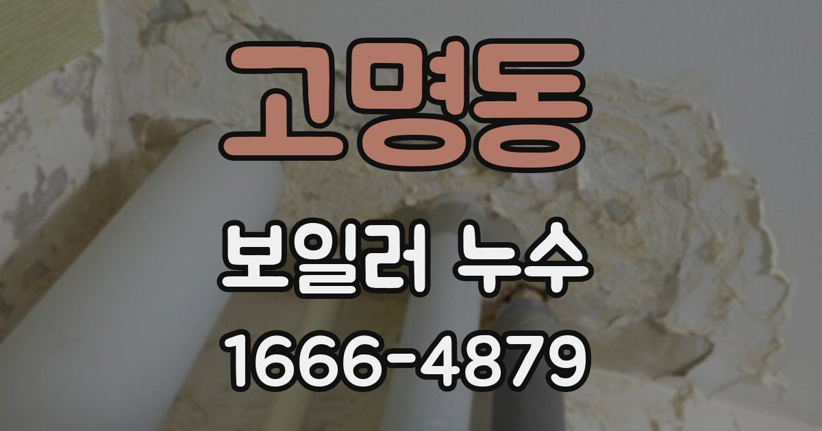 고명동 보일러 누수