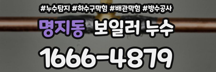 명지동 보일러 누수