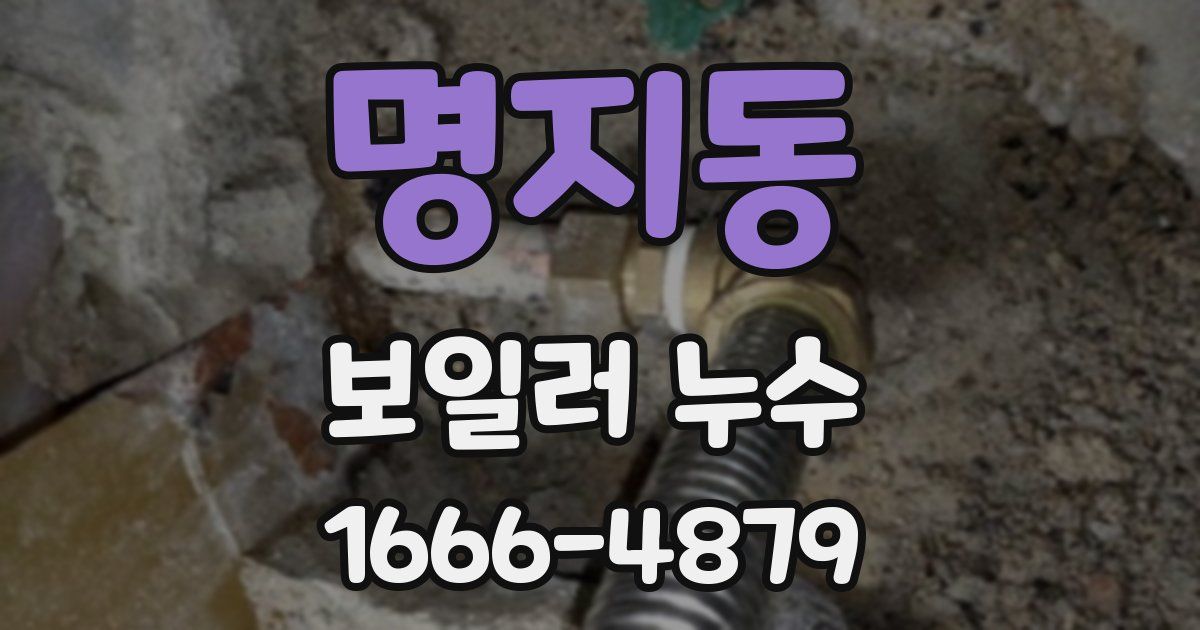 명지동 보일러 누수