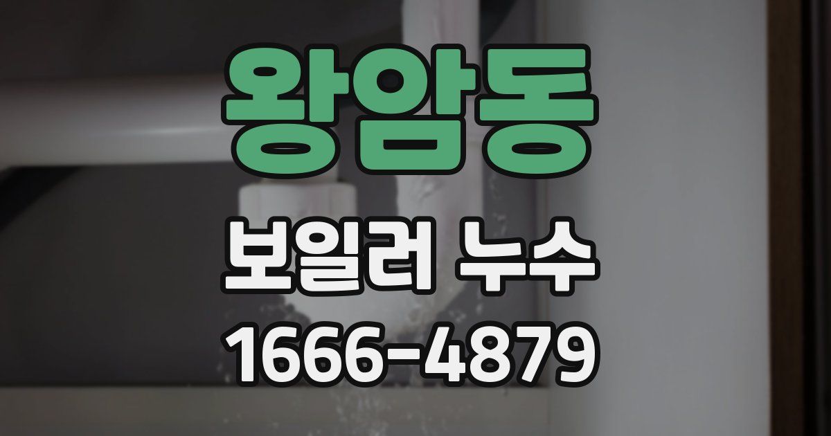 왕암동 보일러 누수
