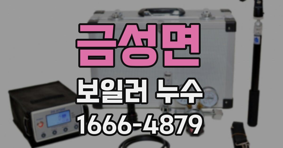 금성면 보일러 누수