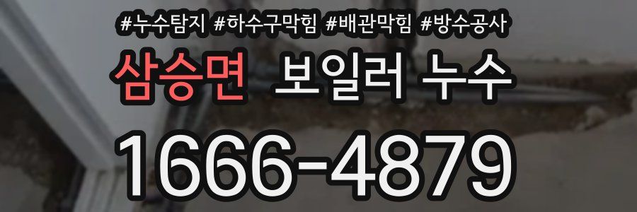 삼승면 보일러 누수