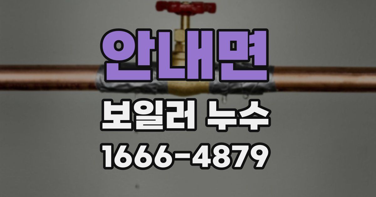 안내면 보일러 누수