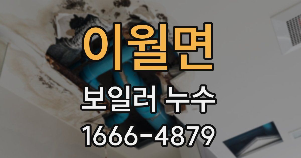 이월면 보일러 누수