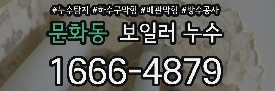문화동 보일러 누수