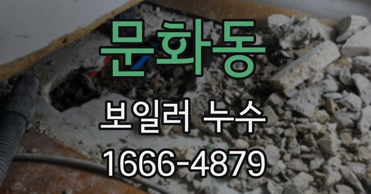 문화동 보일러 누수