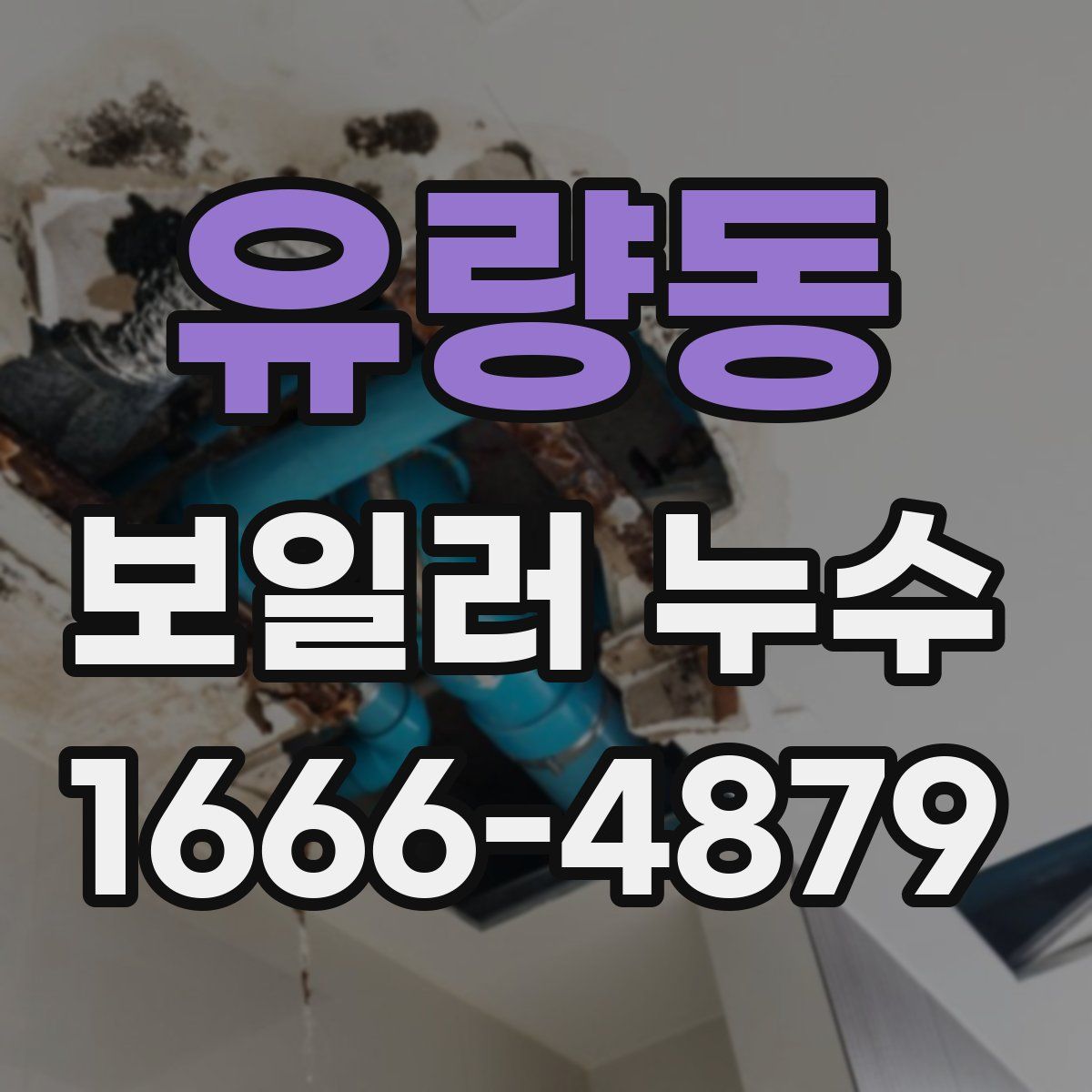 유량동 보일러 누수