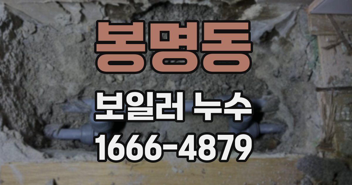 봉명동 보일러 누수