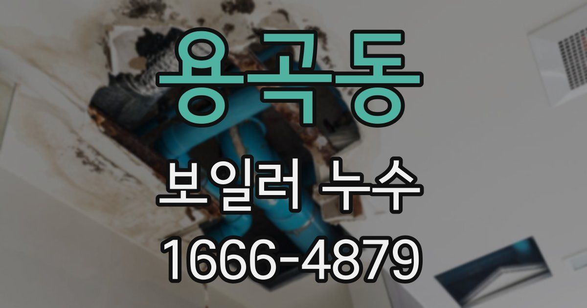 용곡동 보일러 누수