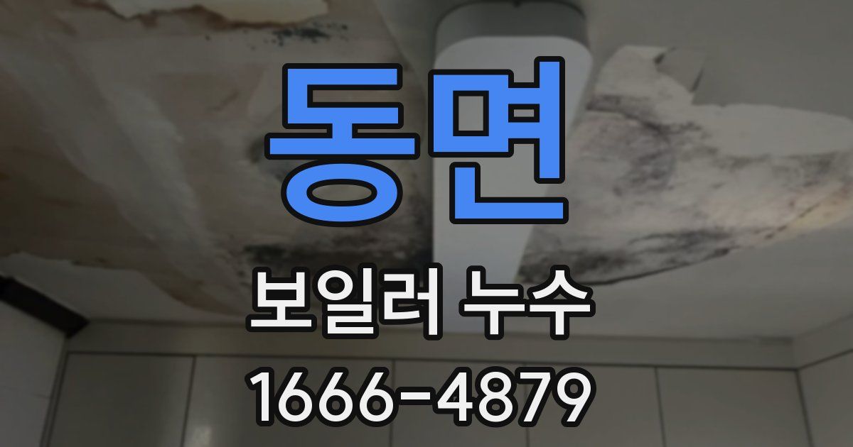 동면 보일러 누수