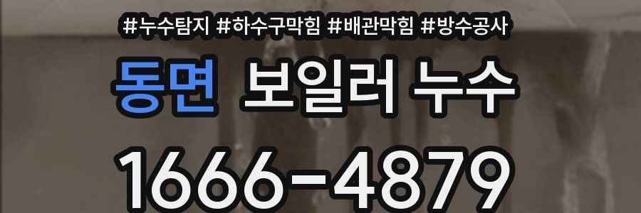 동면 보일러 누수