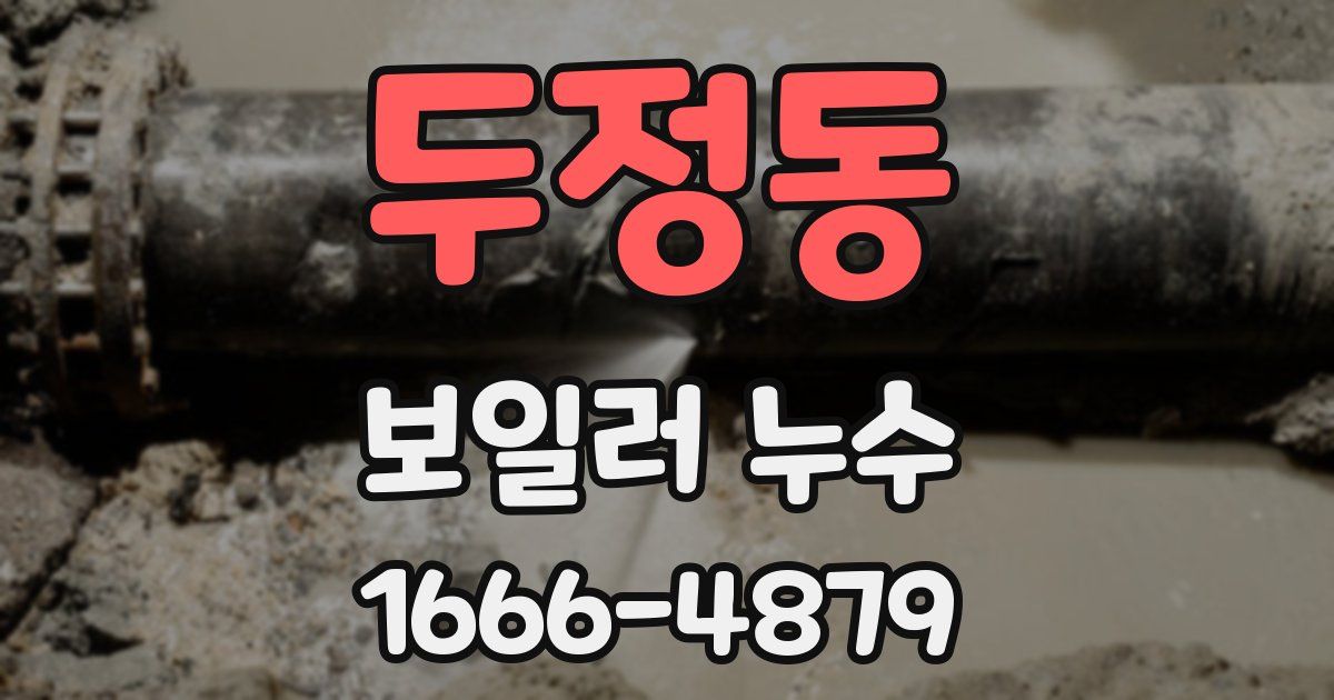 두정동 보일러 누수