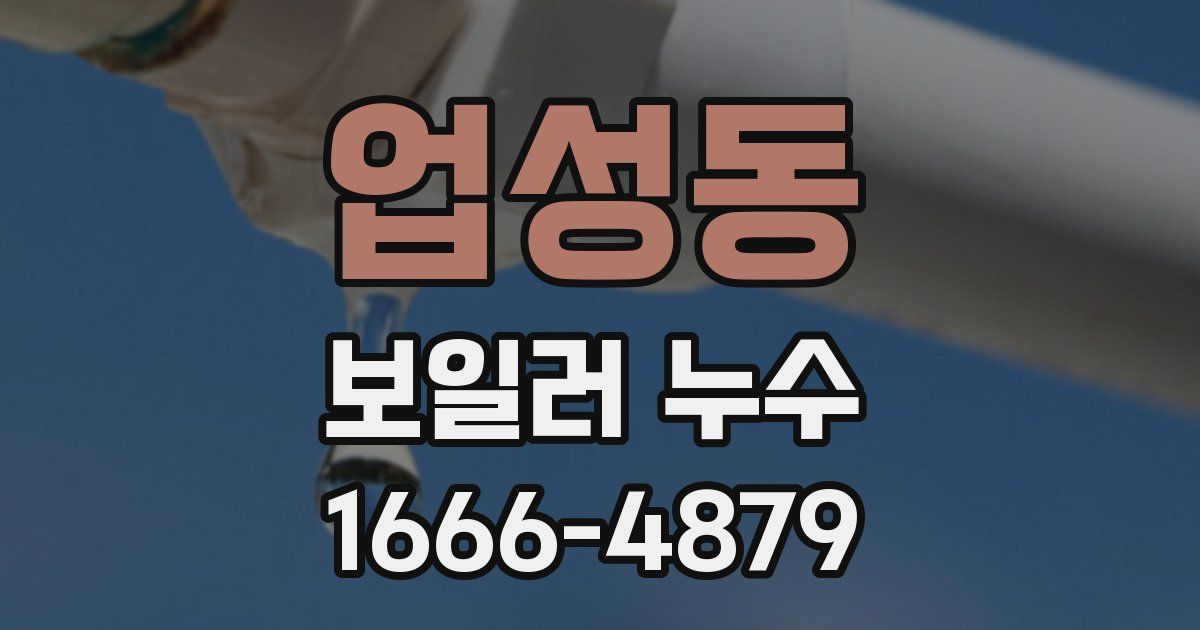 업성동 보일러 누수