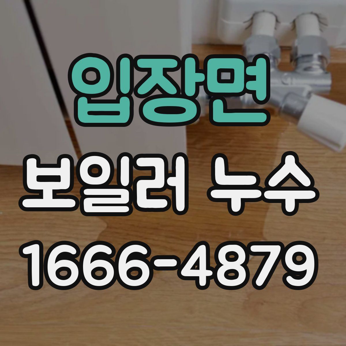 입장면 보일러 누수