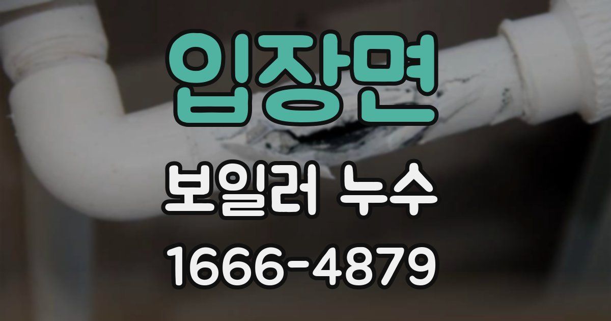 입장면 보일러 누수