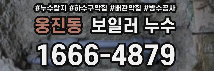 웅진동 보일러 누수
