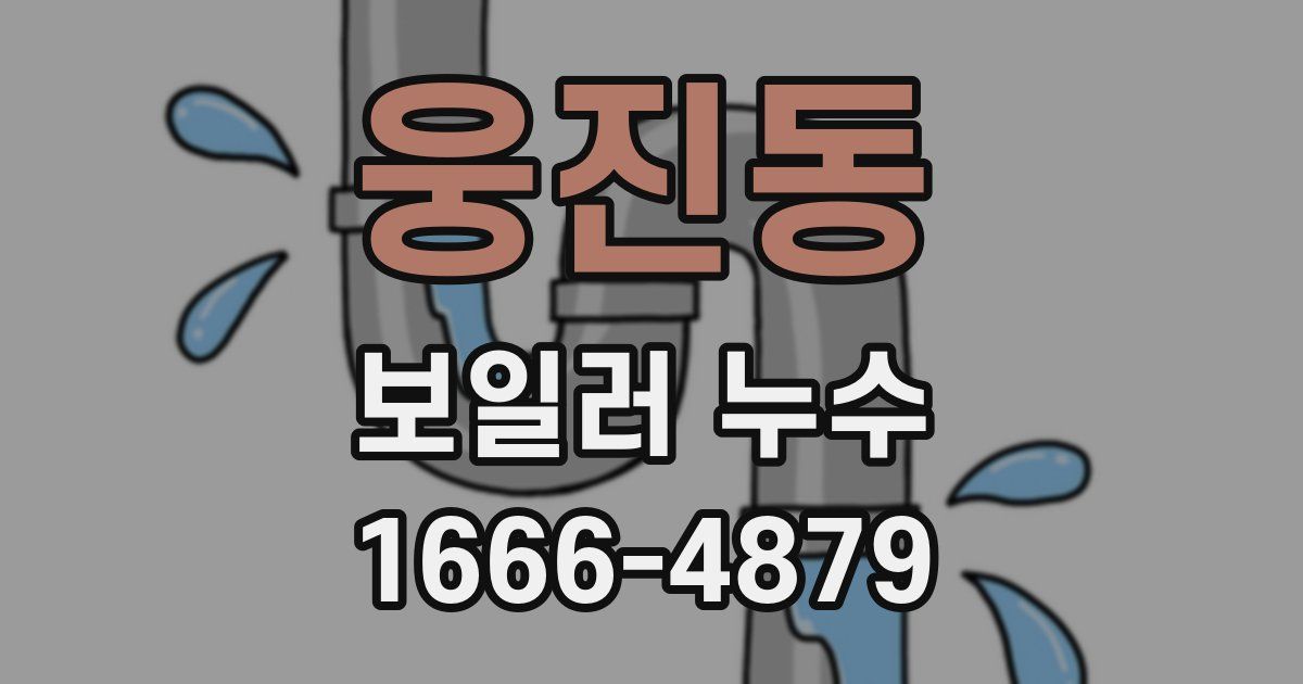 웅진동 보일러 누수