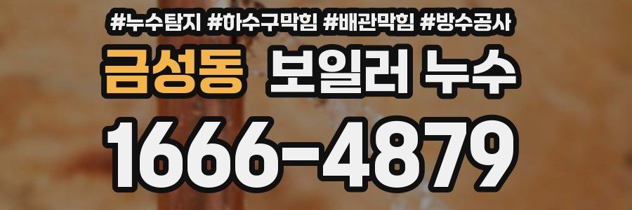 금성동 보일러 누수
