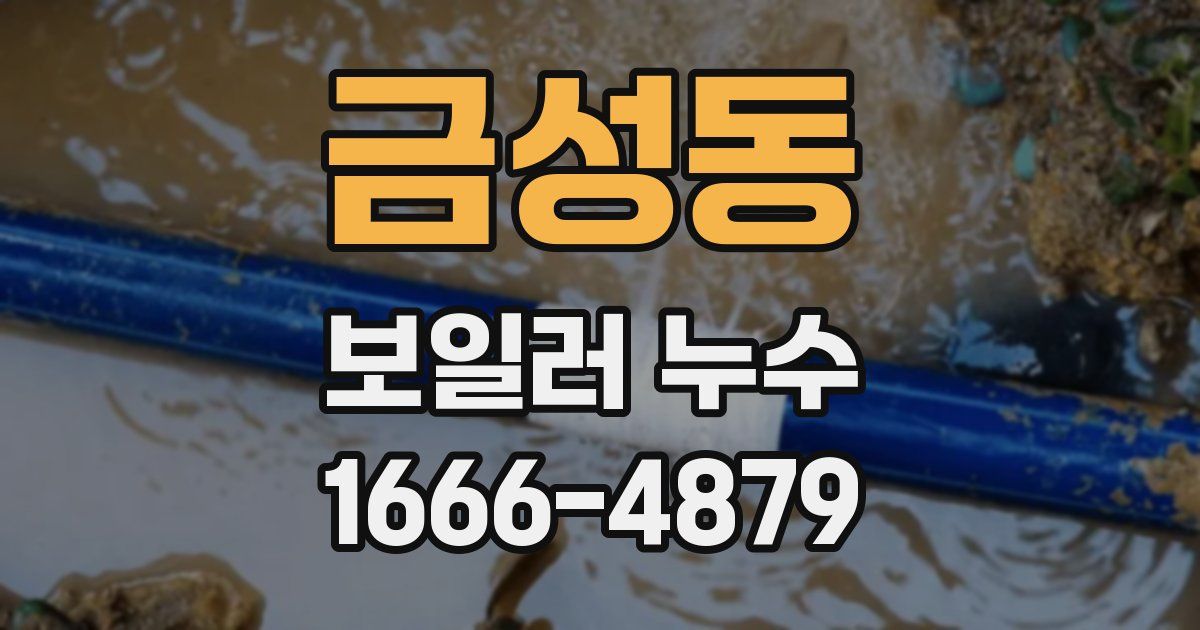 금성동 보일러 누수