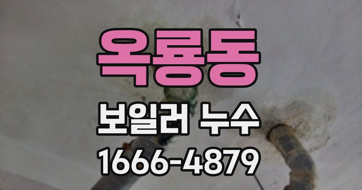 옥룡동 보일러 누수