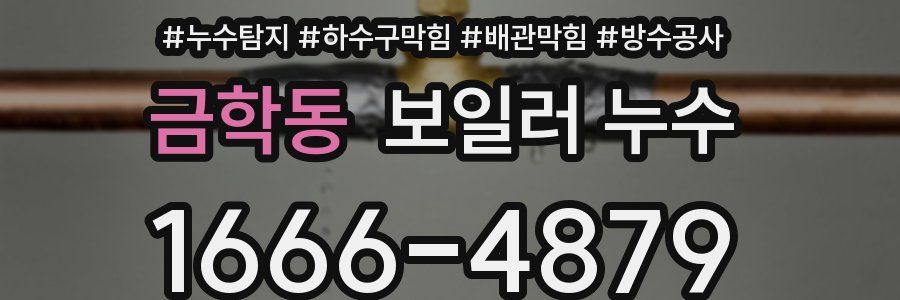 금학동 보일러 누수
