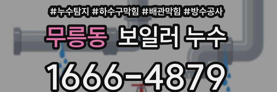 무릉동 보일러 누수