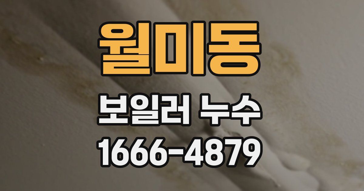 월미동 보일러 누수