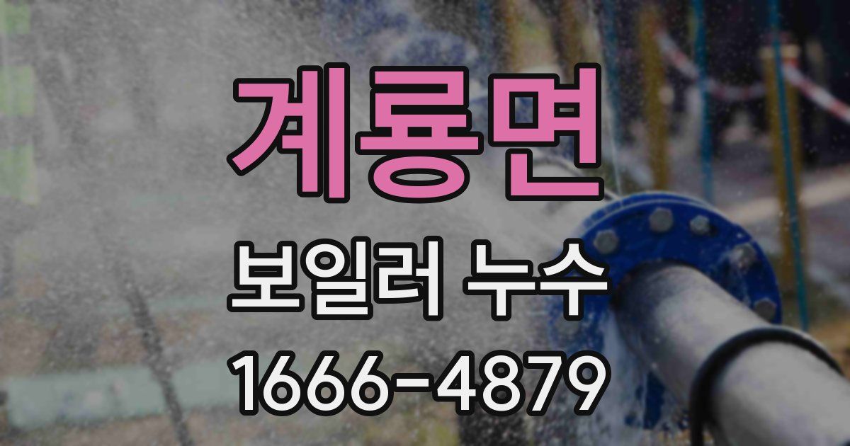 계룡면 보일러 누수