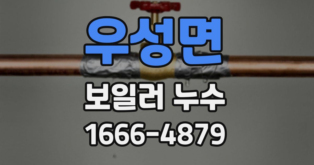 우성면 보일러 누수