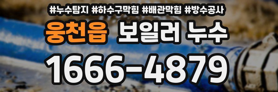 웅천읍 보일러 누수